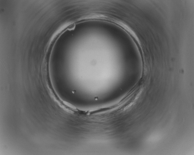 X0000076271053200610051306