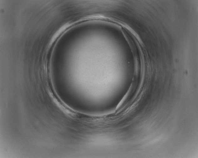 X0000076271054200610051306