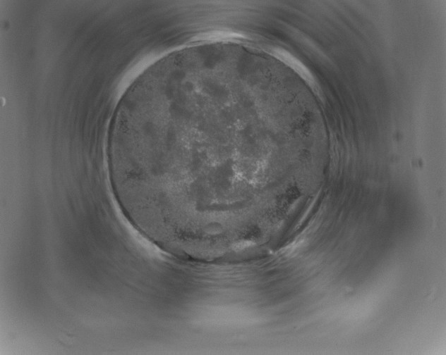 X0000076271055200610051306