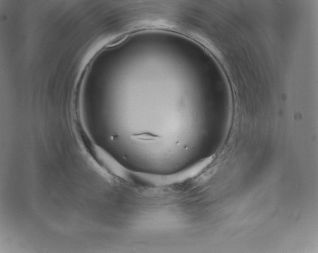 X0000076271056200610051306