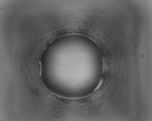 X0000076271057200610051305