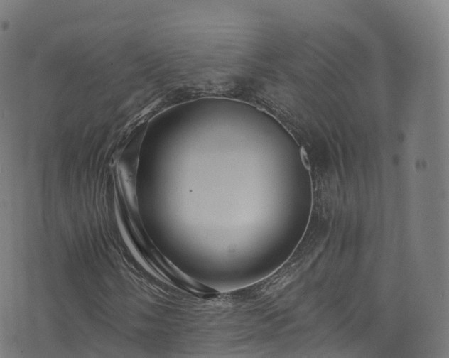 X0000076271058200610051305