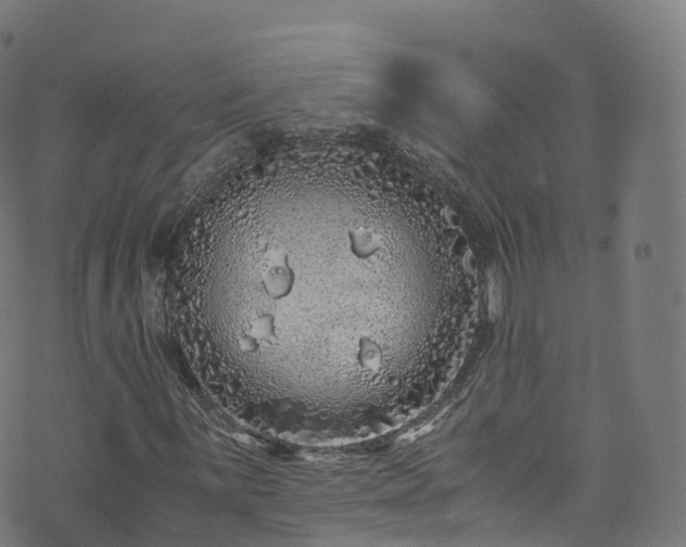 X0000076271059200610051305