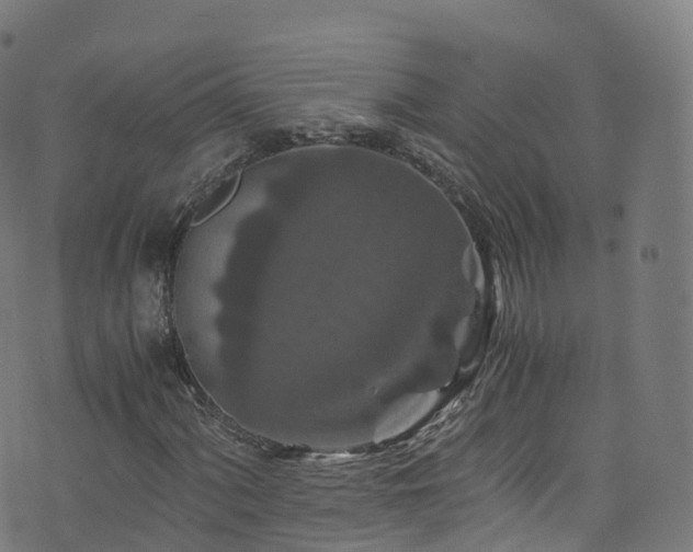 X0000076271060200610051305