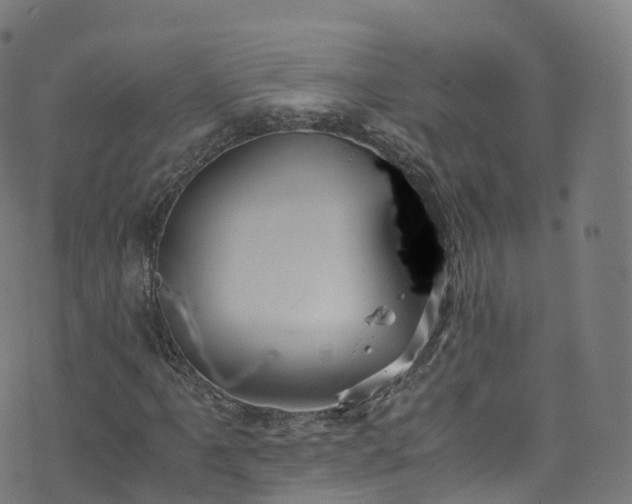 X0000076271061200610051305