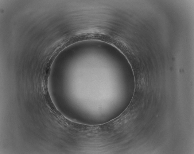 X0000076271062200610051305