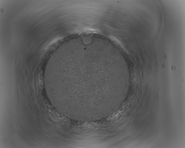 X0000076271063200610051305