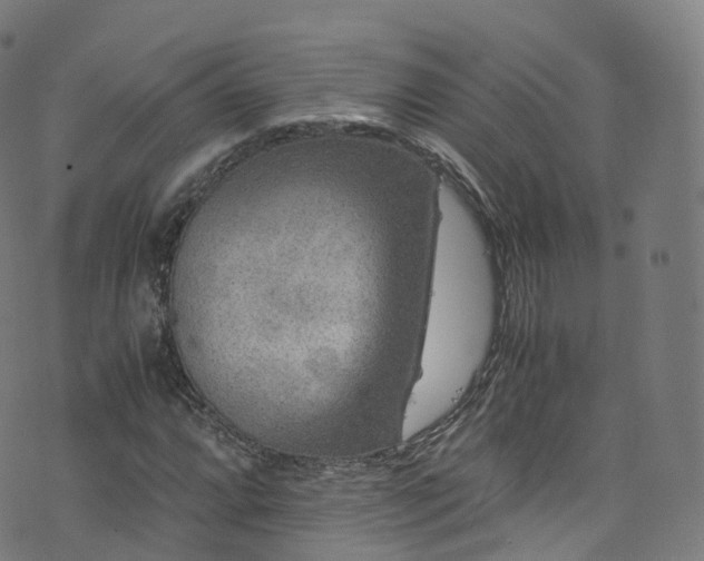 X0000076271064200610051305