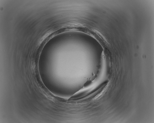 X0000076271065200610051305