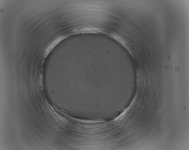 X0000076271066200610051305