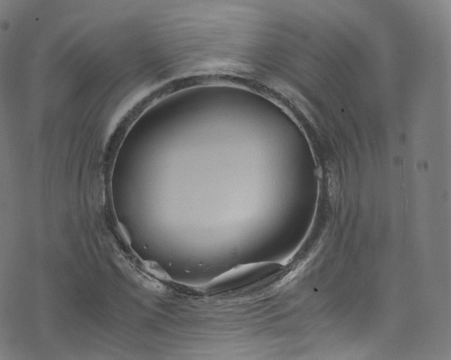 X0000076271069200610051305