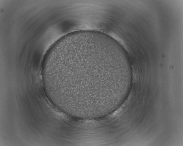 X0000076271070200610051305