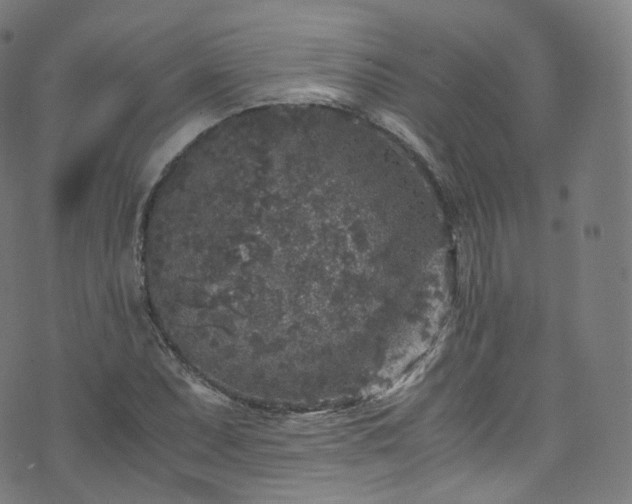 X0000076271071200610051305