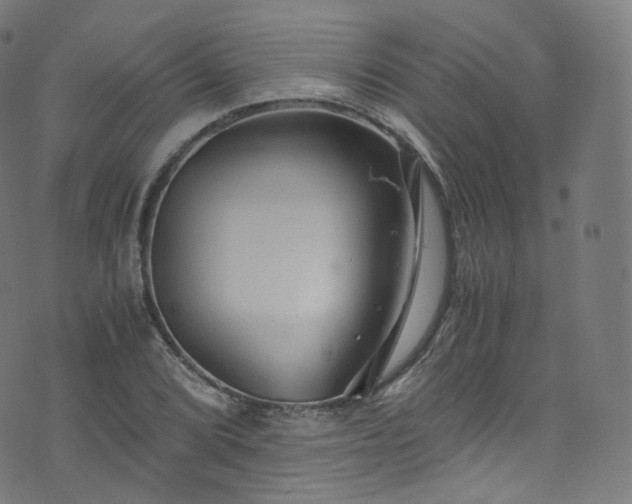 X0000076271072200610051305