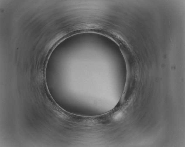 X0000076271073200610051305