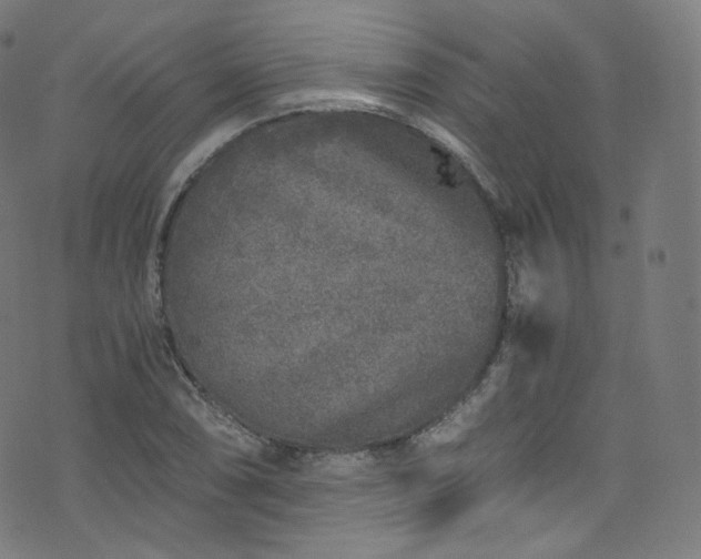 X0000076271074200610051305