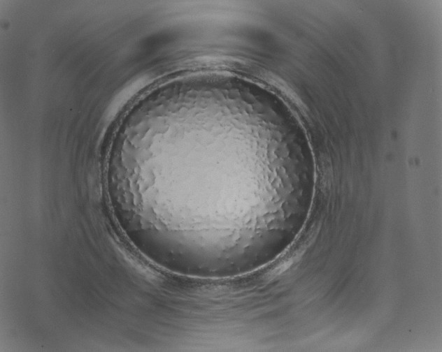 X0000076271075200610051305