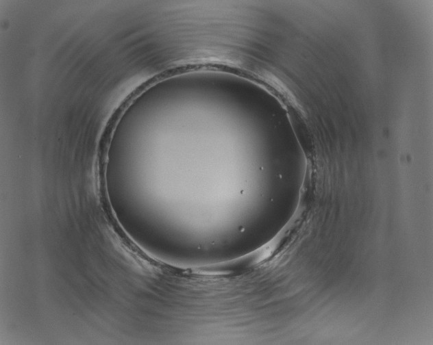 X0000076271076200610051305