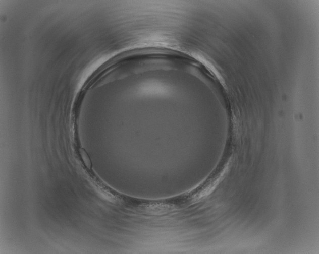 X0000076271077200610051305