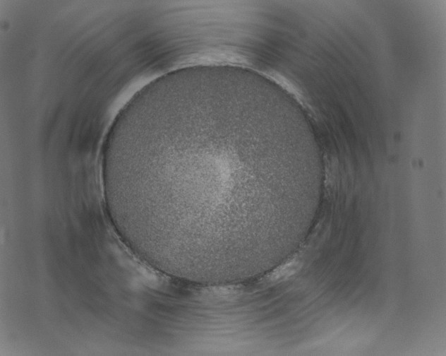 X0000076271078200610051305