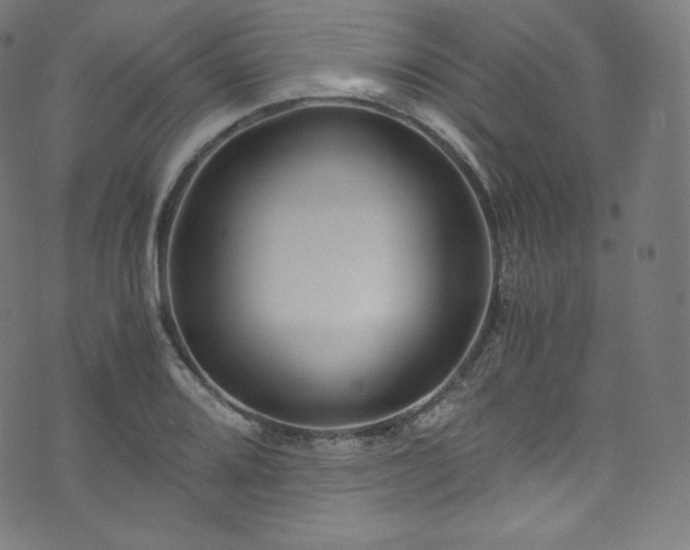 X0000076271080200610051305