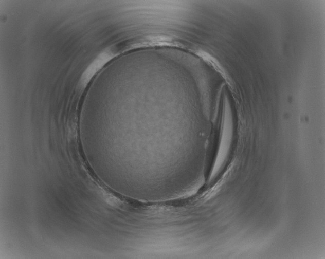 X0000076271081200610051305