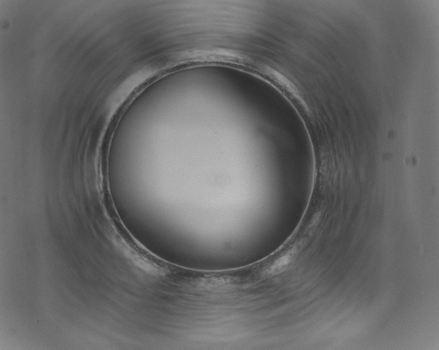 X0000076271082200610051305