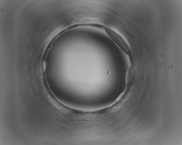 X0000076271085200610051305