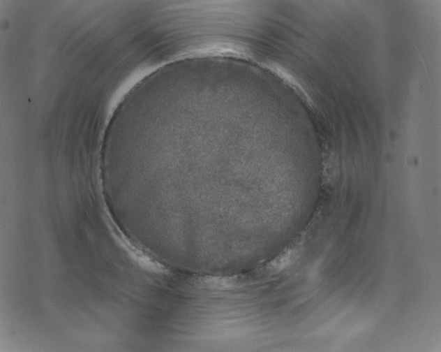 X0000076271086200610051304