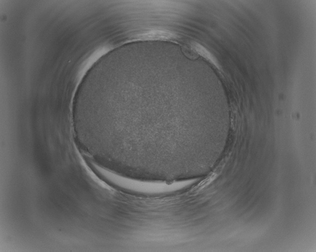 X0000076271087200610051304