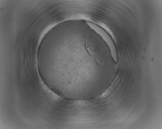 X0000076271088200610051304