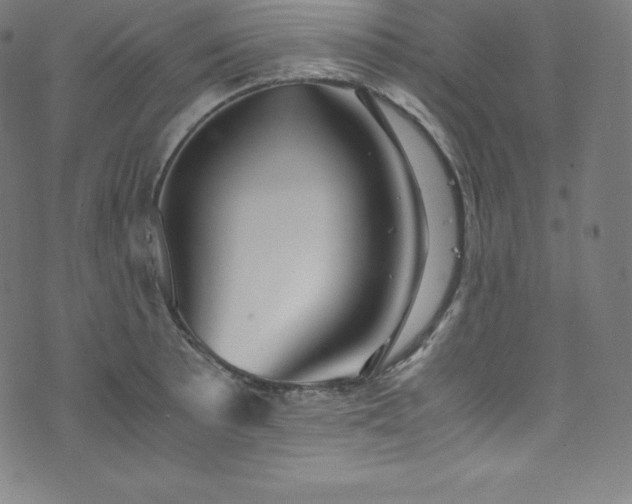 X0000076271089200610051304