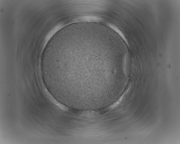 X0000076271091200610051304