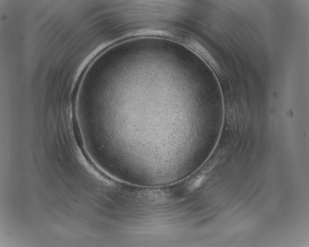 X0000076271092200610051304