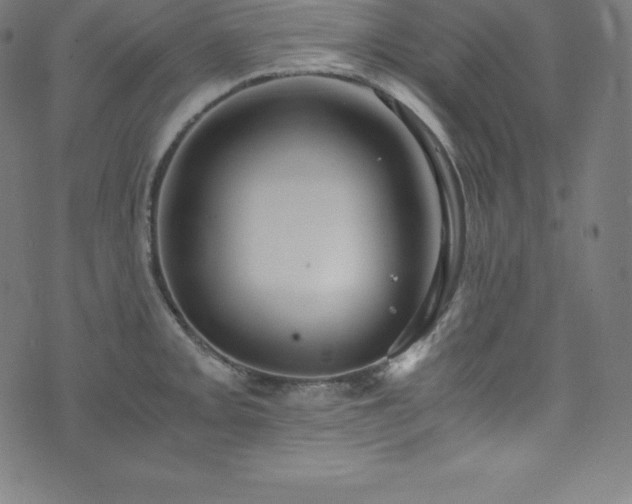 X0000076271093200610051304