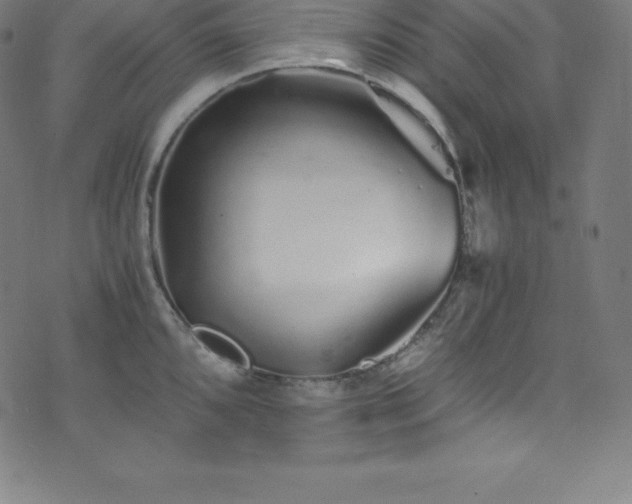 X0000076271096200610051304