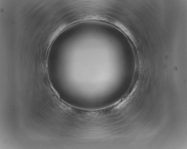 X0000076271097200610051304