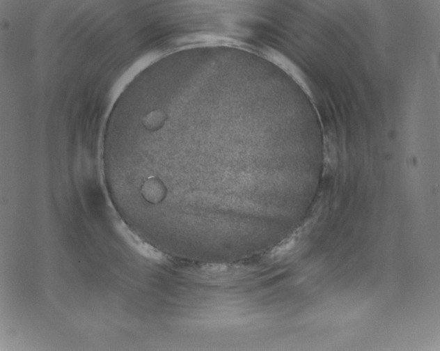 X0000076271098200610051304