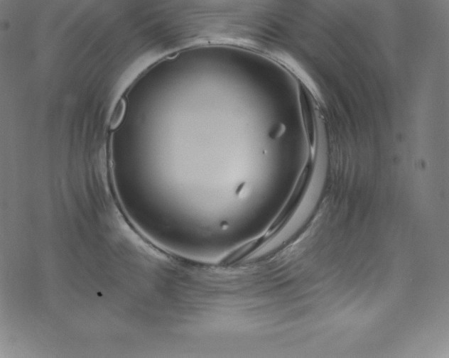 X0000076271100200610051304