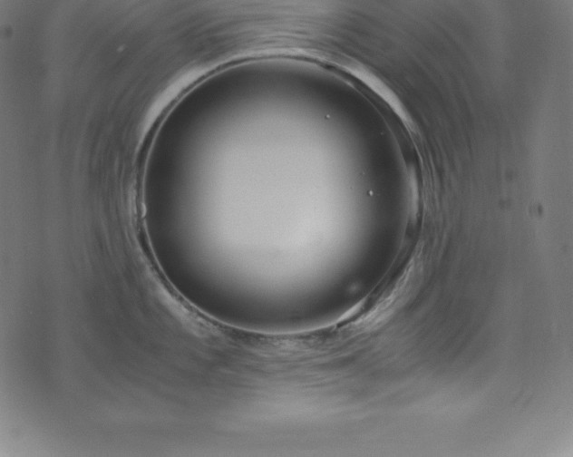 X0000076271101200610051304