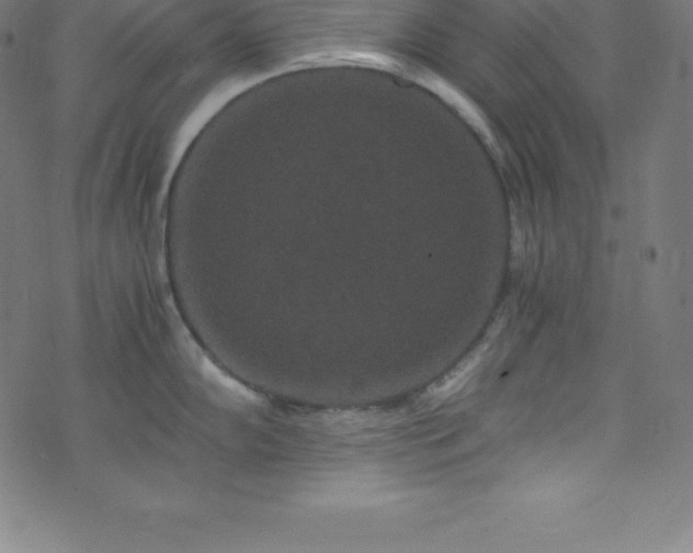 X0000076271102200610051304