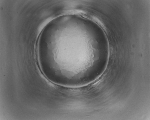 X0000076271103200610051304