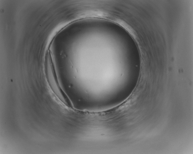 X0000076271104200610051304