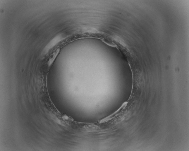 X0000076271112200610051304