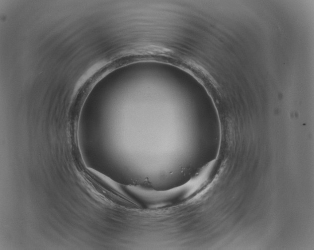 X0000076271114200610051304