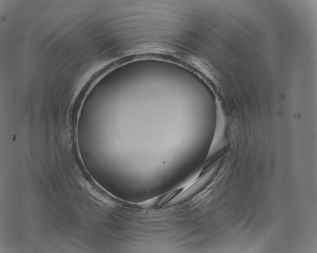 X0000076271116200610051304