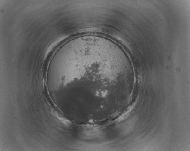 X0000076271117200610051304