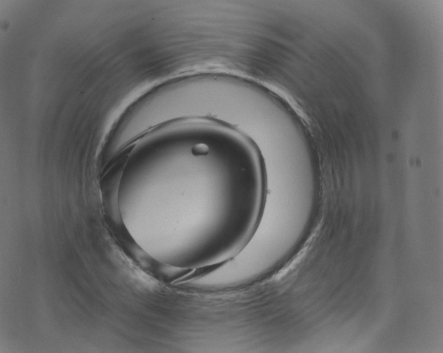 X0000076271118200610051304