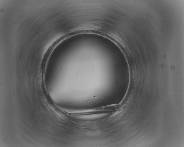 X0000076271119200610051304