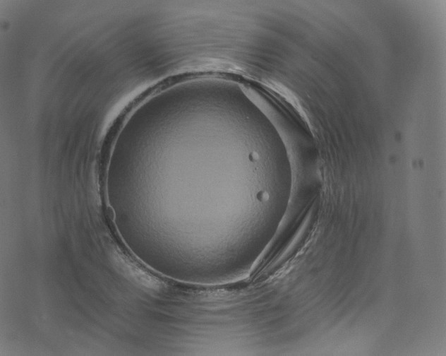 X0000076271120200610051304